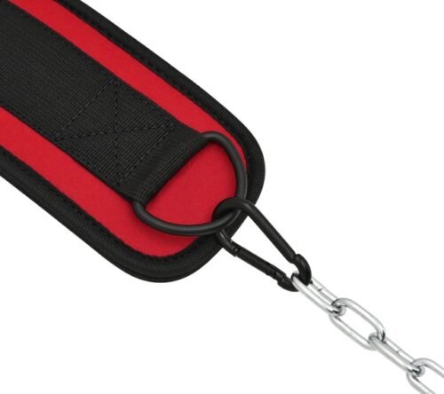 Cinturón de inmersión para entrenamiento con pesas RDX T7 con cadena - Imagen 5